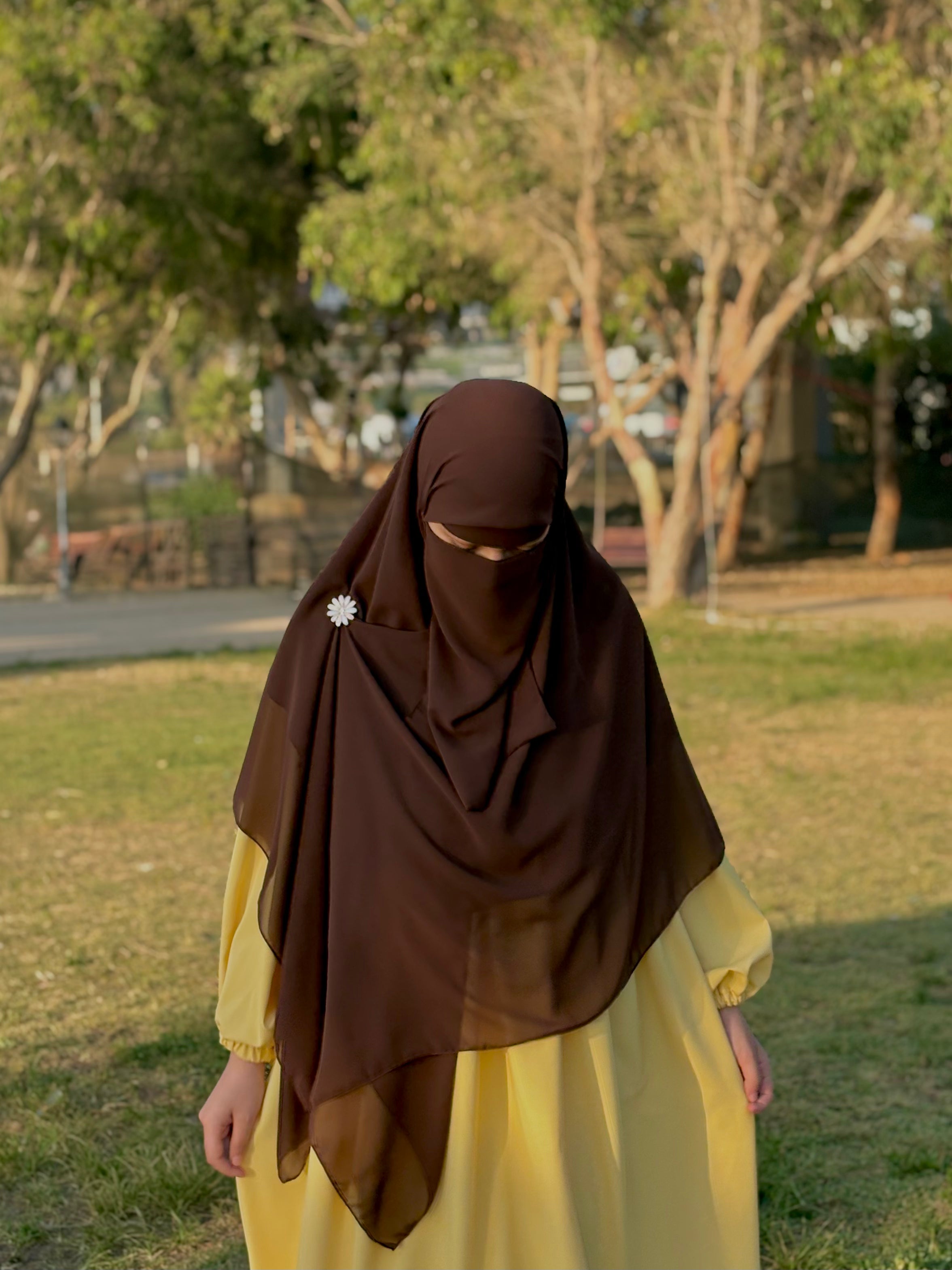 بروش